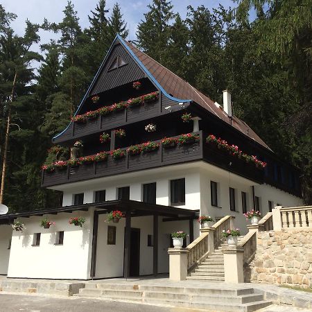 Hunting Lodge Vitkov Соколов Екстериор снимка