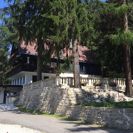 Hunting Lodge Vitkov Соколов Екстериор снимка